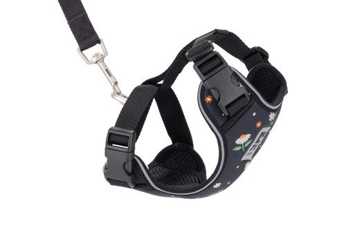 Rc Pet Products Adventure Kitty Cat Harness- Daisies