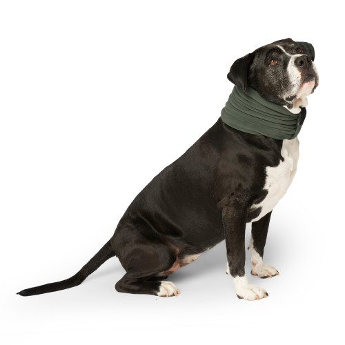 Canada Pooch Green Thermal Snood Scarf for Dogs