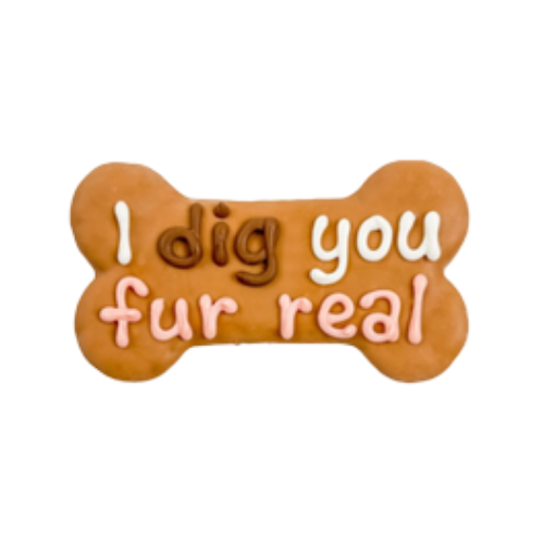 Bosco & Roxy Valentine's Day Dig You Fur Real Bone Dog Treat Cookie 6 in