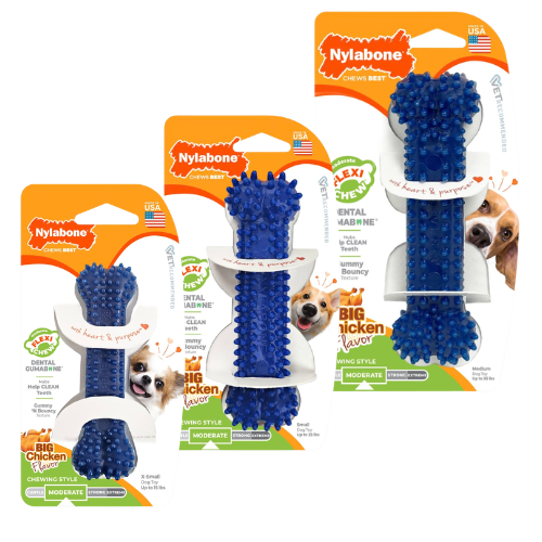Nylabone Flexi Chew Gumabone Textured Dental Bone Dog Chew Toy
