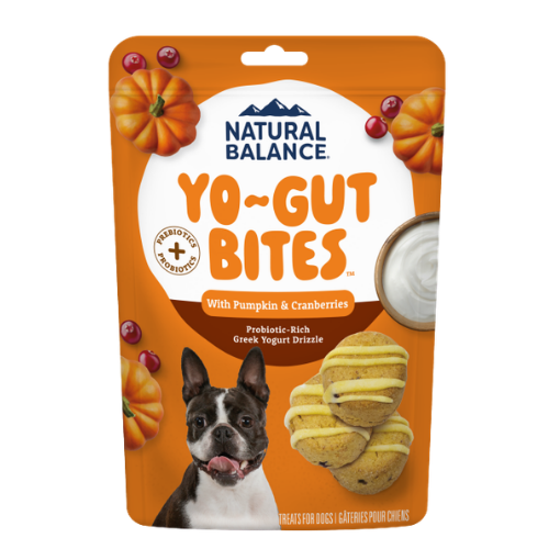 Natural Balance Yo-Gut Bites with Pumpkin & Cranberries Dog Treats