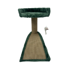 A&E Green Cozy Cat Crest 