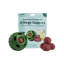 Woof Allergy and Immunity Pops Pupsicle Refills Lickable Dog Treats Large