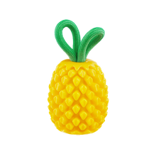 Outward Hound Dental Pineapple Dental Chew Toy and Interactive Treat Stuffer 