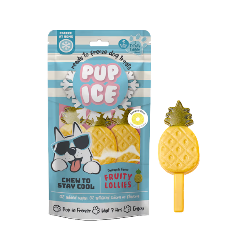 Nothin' To Hide Fruity Lollies Pineapple Dog Chew Treat 3 pk
