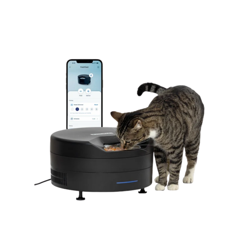 PetSafe Black FreshFeed Refrigerated Pet Feeder 