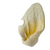 Natural Harvest Pet Prod Beef Ear Dog Treat