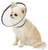 Cardinal Pet Care Remedy+Recovery E-Collar for Pets