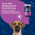 Naturvet Hemp Soft Chews Joint Supplement for Cats 60 ct