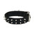 Coastal Pet Products Macho Dog With Roller Buckle Double Ply Dog Collar