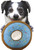 Spot Ethical Pet Tasty Donut Squeaker Dog Toy