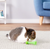Spot Ethical Pet Kitty Fun Bopper Light Up Cat Toy 