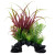 Fluval Red Sagittarius Mix Aquarium Plant 10 in