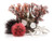 Biorb 15L Red Forest Aquarium Ornament Set 