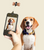 Kikkerland Dog Treat Phone Selfie Clip 