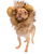 Pet Krewe Lion Mane with Ears Dog Halloween Costume