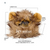 Pet Krewe Lion Mane with Ears Dog Halloween Costume