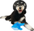 Canada Pooch Freeze & Chill Cooling Pal Frog Dog Toy 