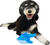 Canada Pooch Freeze & Chill Cooling Pal Dolphin Dog Toy 