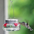 Nature's Way Clear Mason Jar Hummingbird Feeder 8 oz