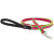 Lupine Petunias Dog Leash