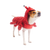 Silverpaw Halloween Lobster Pet Costume