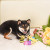 Hugsmart Spring Little Insects Plush Dog Toy Set 5.5 in, 3 pk