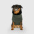 Canada Pooch Easy-On Stretch Fleece Dog Coat