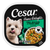 Cesar Turkey Recipe Filets in Gravy Small Breed Adult Wet Dog Food