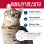 Coastal Pet Products New Earth Soy Adjustable Breakaway Cat Collar