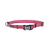 Coastal Pet Products K9 Explorer Brights Adjustable Dog Collar-Blossom