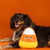 Pet Fringe Studio Halloween Candy Corn Plush Dog Toy 