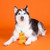 Pet Fringe Studio Halloween Go Big or Gourd Home Latex Dog Toy 