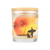 Pet House Beach Day Candle 9 oz