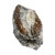 Penn-plax Aqua Floras Seiryu Stone Natural Fish Ornament 