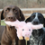 Tall Tails Plush Flying Pig with Squeaker Dog Toy 12 in