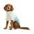 Gf Pet Fisherman Dog Sweater, Green