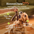 Woof Honest Chew Meaty Antler Durable Dog Chew