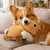 Outward Hound Xtreme Seamz Capybara Durable Dog Toy Medium