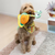 Kong Bendeez Snail Dog Toy Large Dog