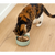 Open Farm Arctic Char Topper for Cats