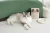 M-pets Puffy Fluff Notebook 