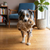 Kong Comfort Wuzzeez Capybara Dog Toy Medium
