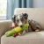 Kong Tropics Rattlez Iguana Plush Dog Toy Medium