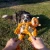 Kong Scrubz Safari Tiger Dog Toy Medium
