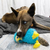 Kong Toughz Dodo Bird Plush Dog Toy Medium