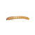 Apet Live Mealworms Reptile Food