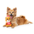 Fuzzyard Holiday #1 Nutcracker Plush Dog Toy 