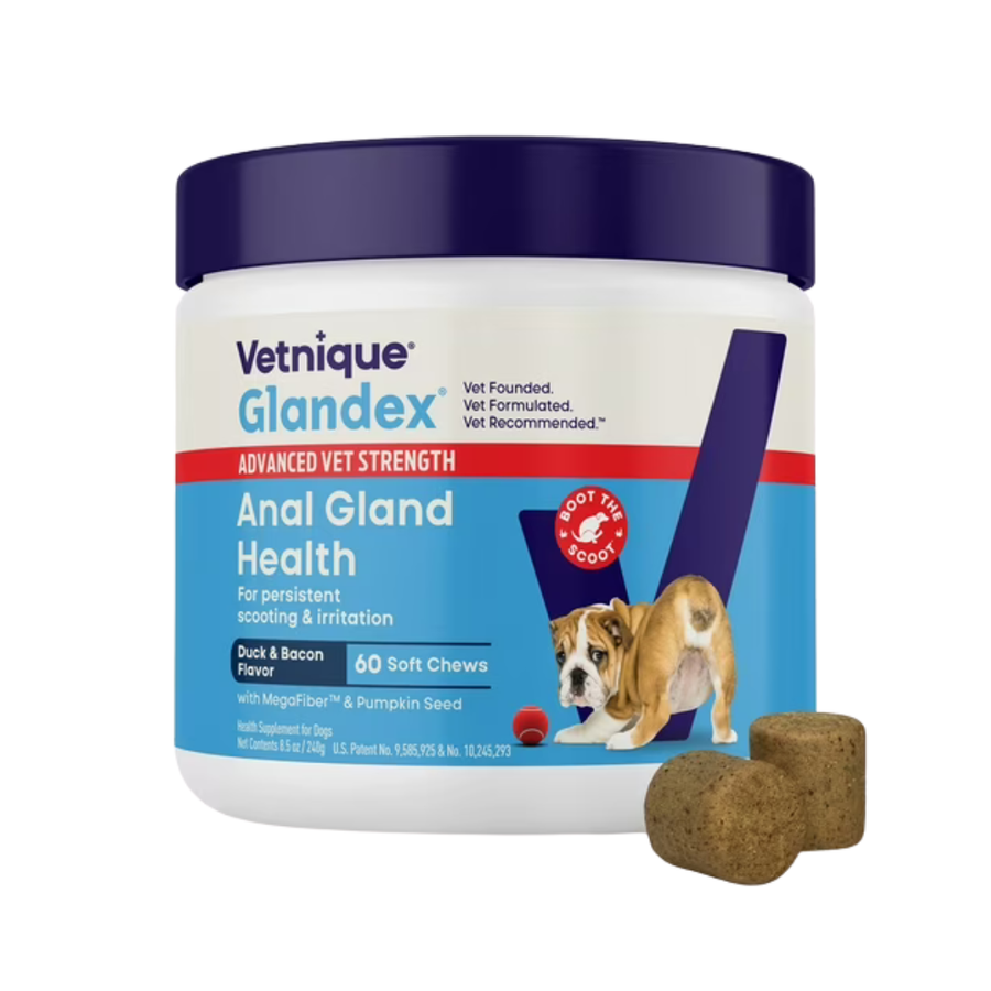 Glandex Dog Anal Gland Support Soft Chews with Pumpkin, Digestive