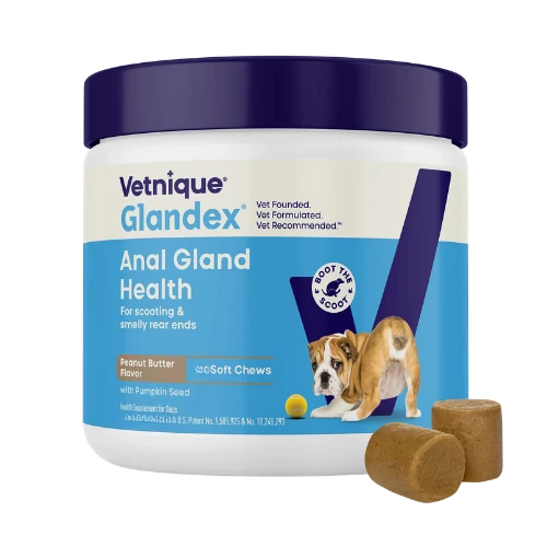 Glandex Dog Anal Gland Support Soft Chews with Pumpkin, Digestive